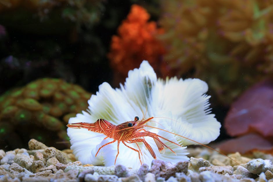 Why the Common Consensus on Deep-Sea Hydrothermal Vent Biology is Flawed