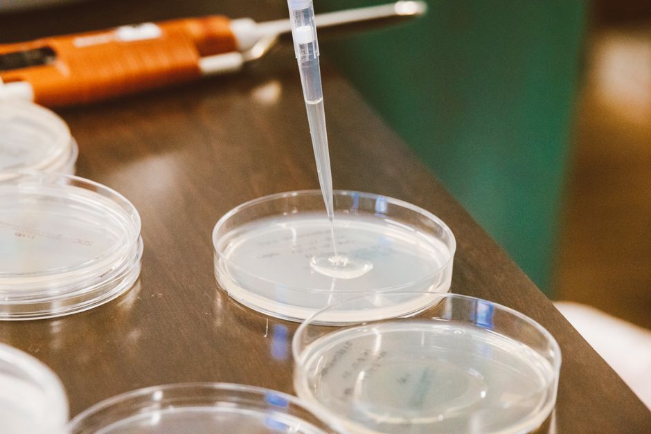 Operational Realities of Microbiological Horizontal Gene Transfers That Experts Skip