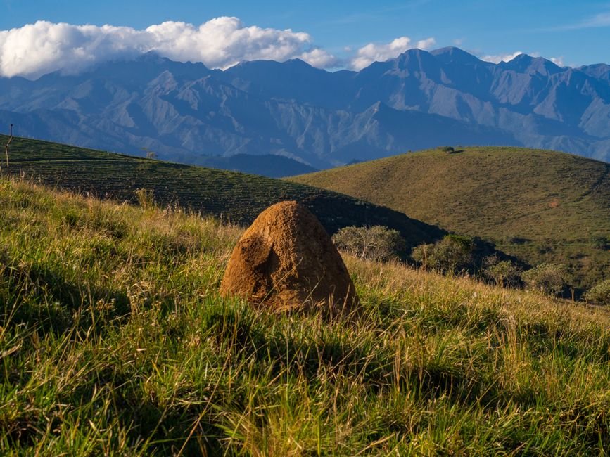 What Recent Field Telemetry Reveals About Fault Line Acoustic Anomalies